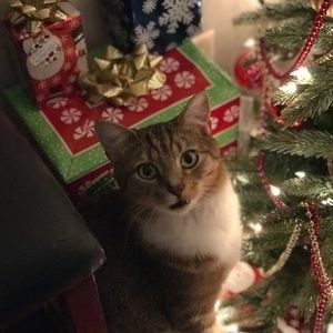 Meet your Posher, Malorie